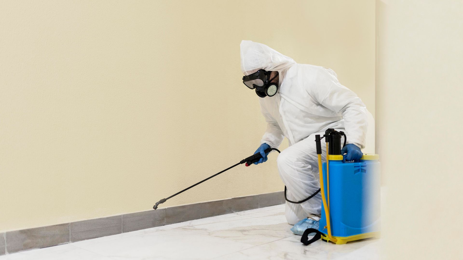 pest control company Porter TX