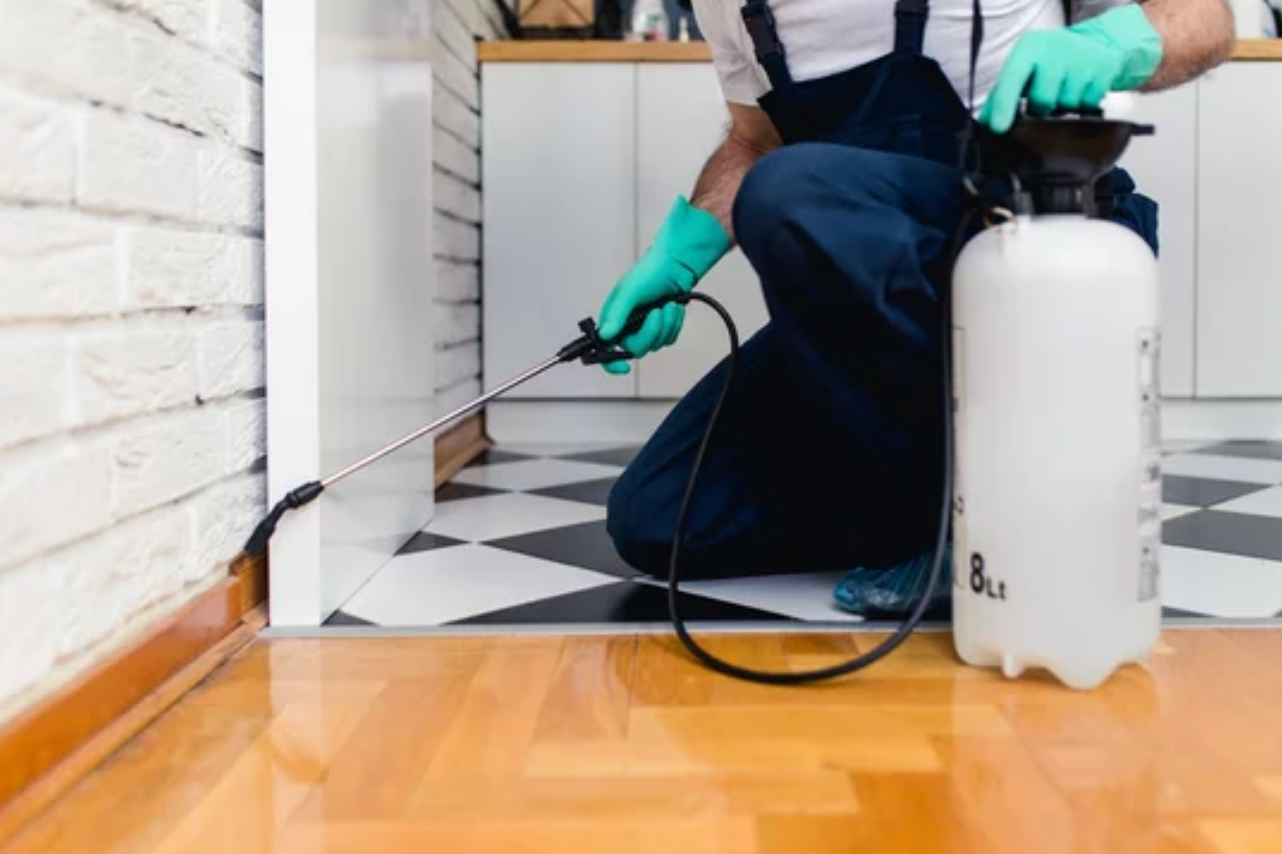 pest control company Humble TX