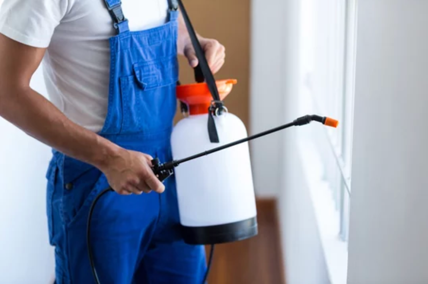pest control company Klein TX