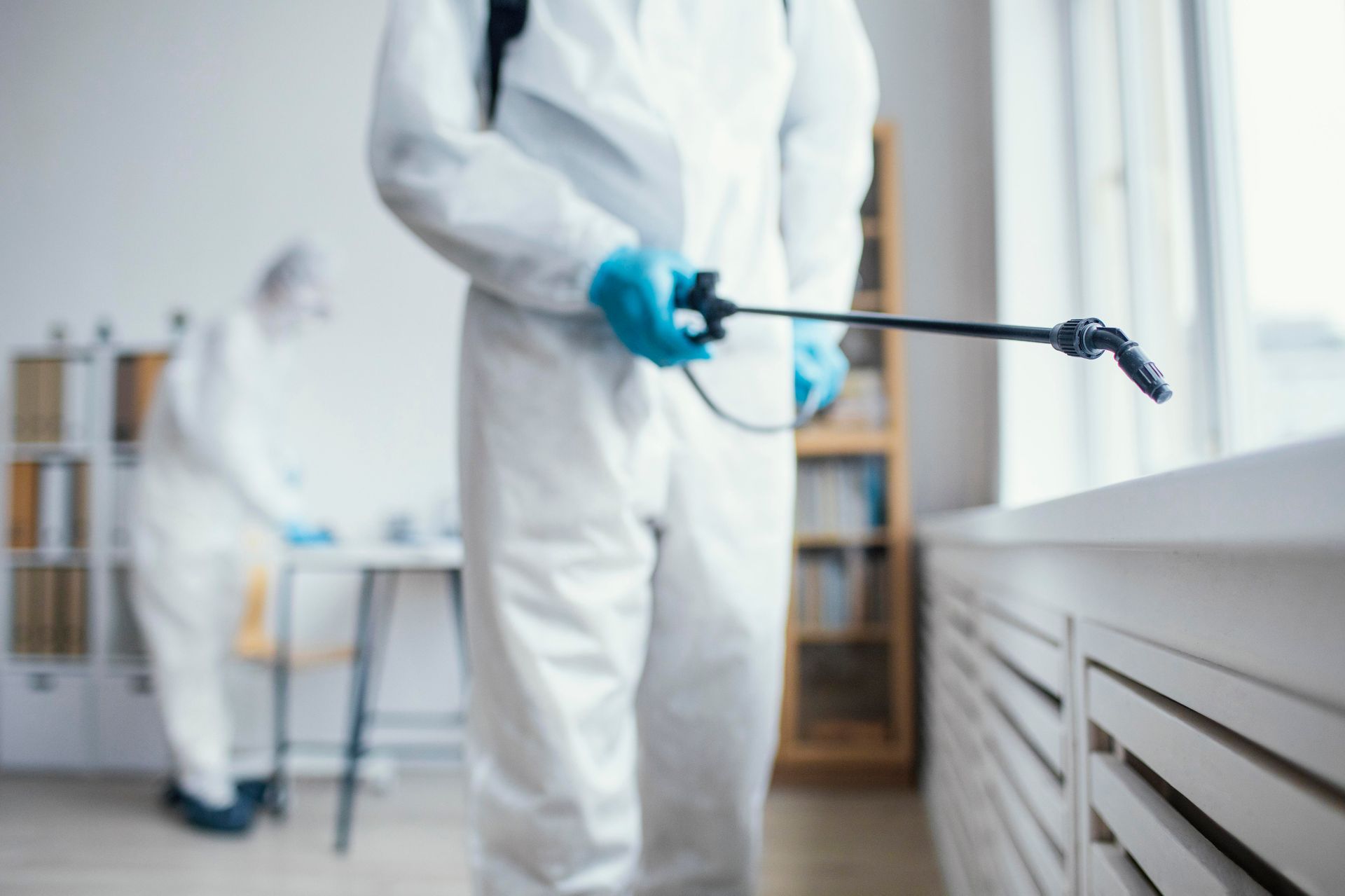 pest control company Kingwood TX