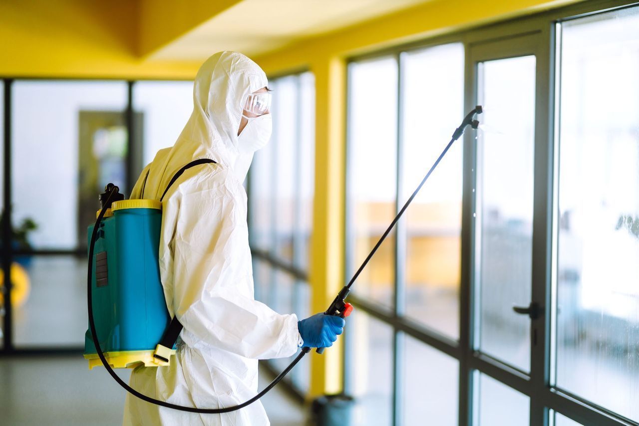 Pest control service in Spring TX
