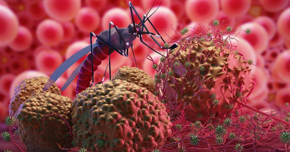 Professional mosquito control