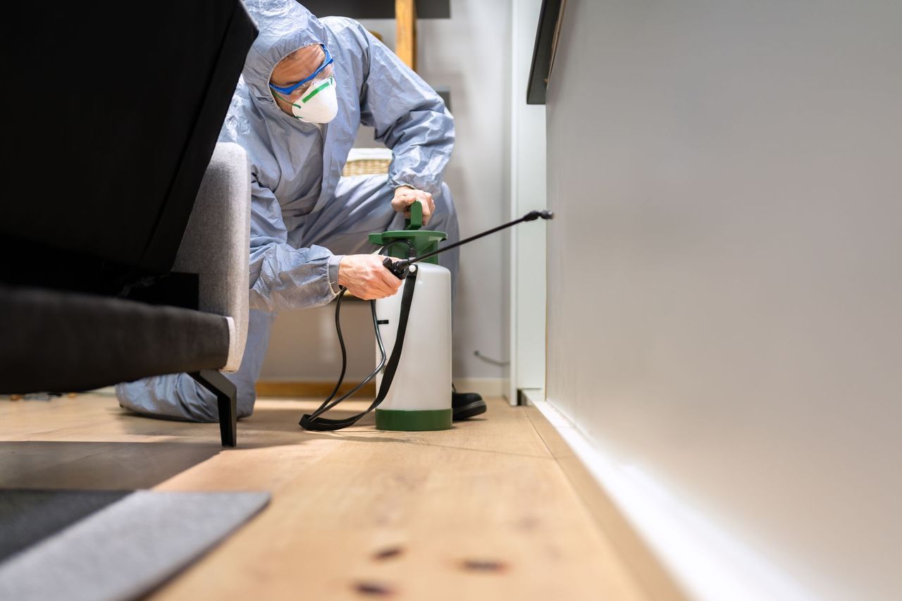 Person in protective suit spraying insecticide on a wall inside a house.