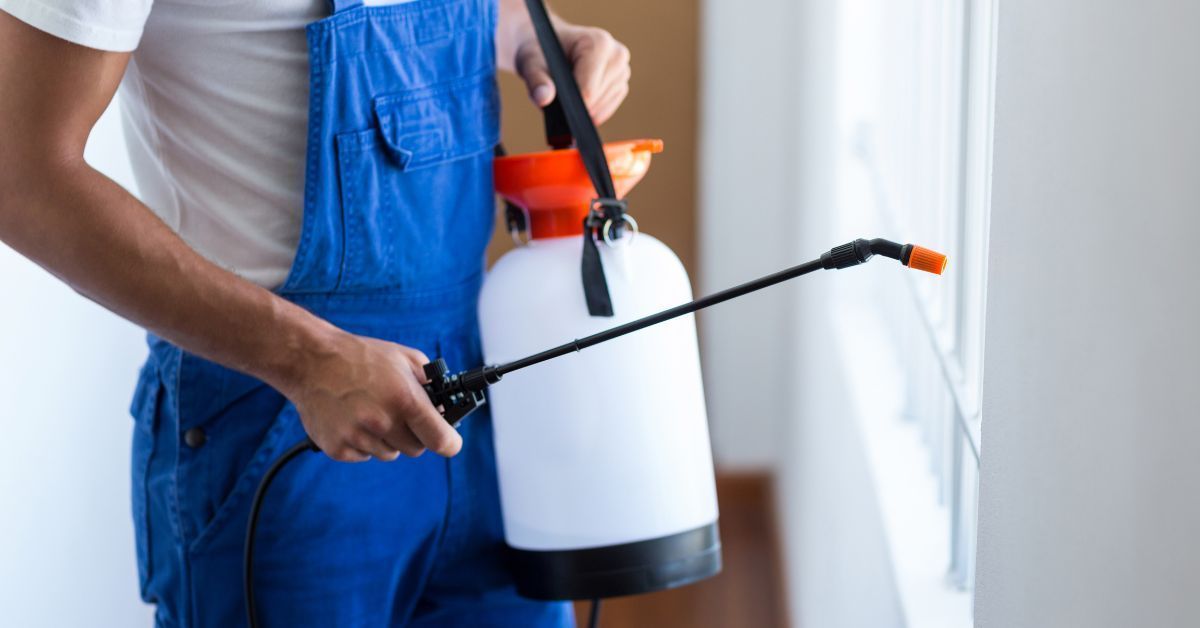 Organic pest control in Spring TX