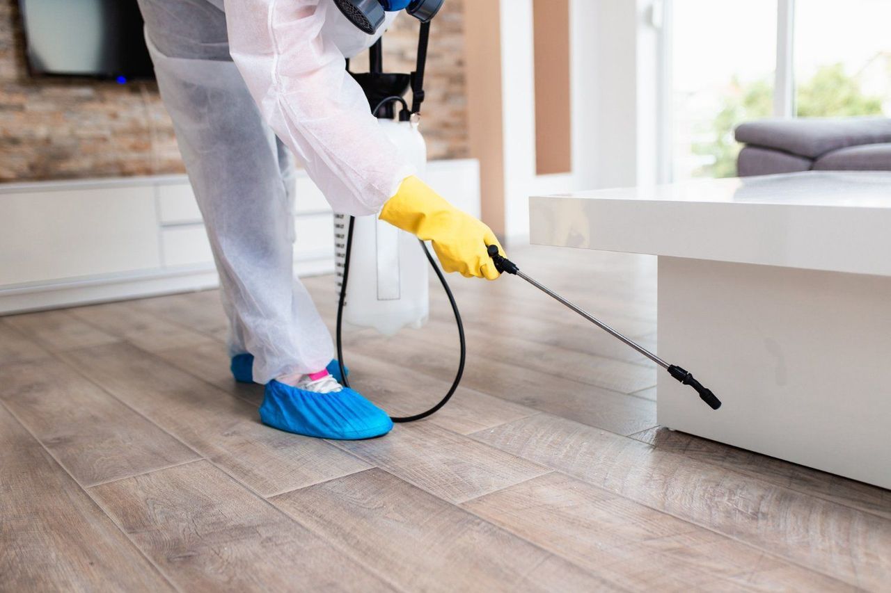 Person in protective suit spraying insecticide inside a home.