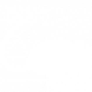 Blank white background.
