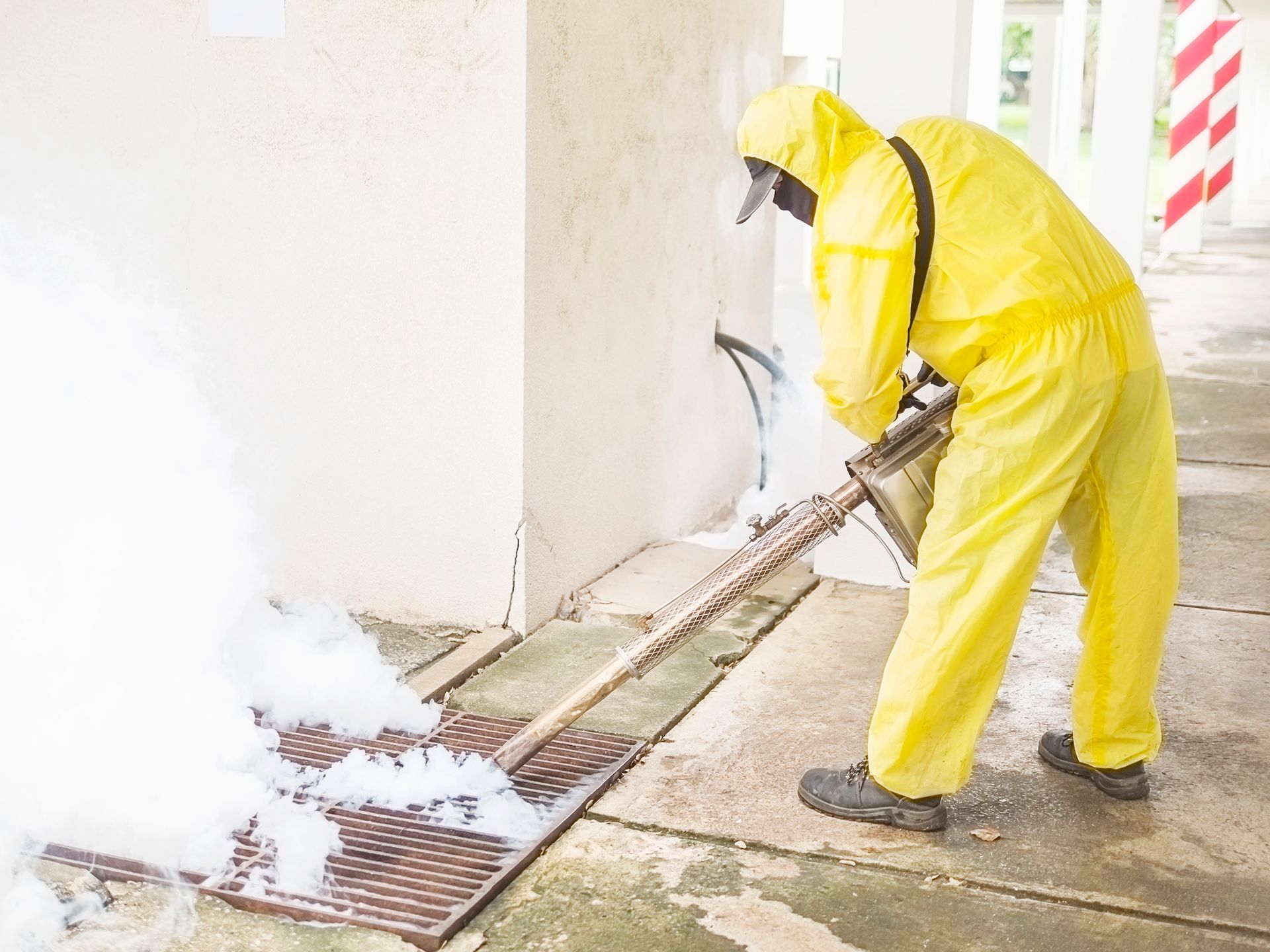 Termite Control in Spring TX